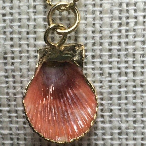 Orange Seashell Pendant Necklace Gold Edge Chain Brown Swirl Retro BoHo Beach - Picture 4 of 7